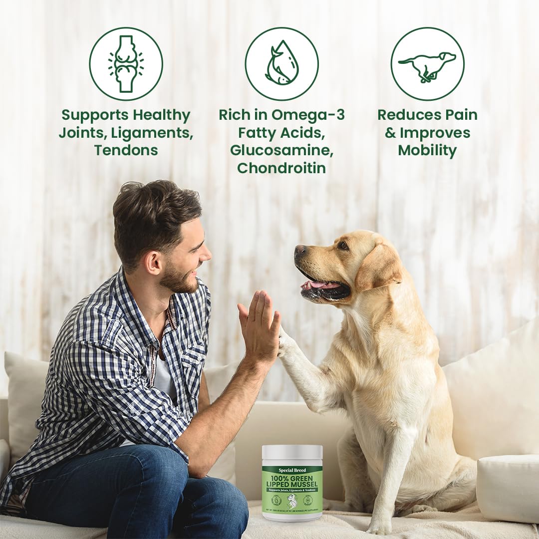 Special Breed Green Lipped Mussels for Dogs & Cats - Premium Joint Supplement Powder for HIPS, Joints, and Muscles (300 Grams, Up to 1,000 Servings)