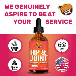 Glucosamine for Dogs Hip and Joint Supplement Liquid | Liquid Glucosamine for Dogs | Dog Joint Supplement Liquid | Glucosamine Liquid for Dogs | Large & Small Dog Joint and Hip Supplement | 3 Bottles