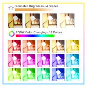 Droiee Dimmable E26 Warm LED Light Bulb, 6W RGBW Color 500LM with 16 Color Changing Modes for Christmas, Party etc with Remote Control 2 Pack