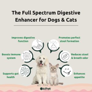 Oh!Pet 5-in-1 Digestive Probiotics Powder for Dogs & Cats - 7 Billion CFUs, Prebiotics, Digestive Enzymes & Dietary Fiber - 30 Packets (Codfish)