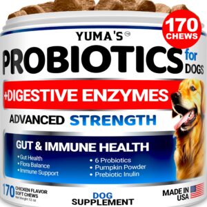 Probiotics for Dogs and Digestive Enzymes - 170 Dog Probiotics Chews - Dog Probiotic - Anti Diarrhea, Upset Stomach & Gas Relief, Constipation, Canine Prebiotic - Pet Fiber Supplement - Gut Health