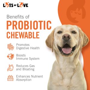 Dog Probiotic Chewable Tablets - Probiotic for Dog - Probiotic Supplement - Lots of Love Pet Products - 60 Count (Pack of 1)