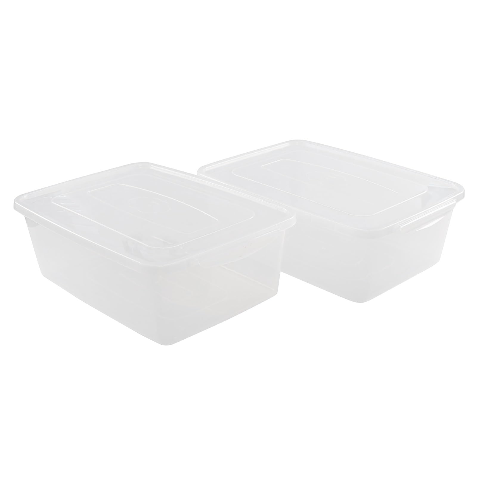 DynkoNA 16 Liter Plastic Container with Lid, Clear Storage Boxes Set of 2