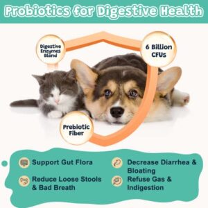 Probiotics for Dogs and Digestive Enzymes, 114 Chews