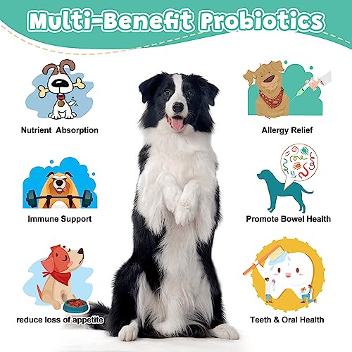 Probiotics for Dogs and Digestive Enzymes, 114 Chews