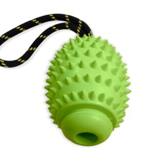 OllyDog Spikey Rugby, Interactive Dog Chew Toy with Natural Rubber, Multifunctional Teeth Cleaning and Gum Massage, for Dogs Under 50lbs (Lime)