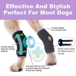 Dog Leg Brace for Back Leg Rear Leg Hock Ankle, Dog Hip Brace for Sprains, Torn Ligaments and Post-Op, Strong Support Help, Lightweight, Promotes Faster Recovery and Reduce Pain, 1 Pair, Medium