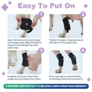 Dog Leg Brace for Back Leg Rear Leg Hock Ankle, Dog Hip Brace for Sprains, Torn Ligaments and Post-Op, Strong Support Help, Lightweight, Promotes Faster Recovery and Reduce Pain, 1 Pair, Medium