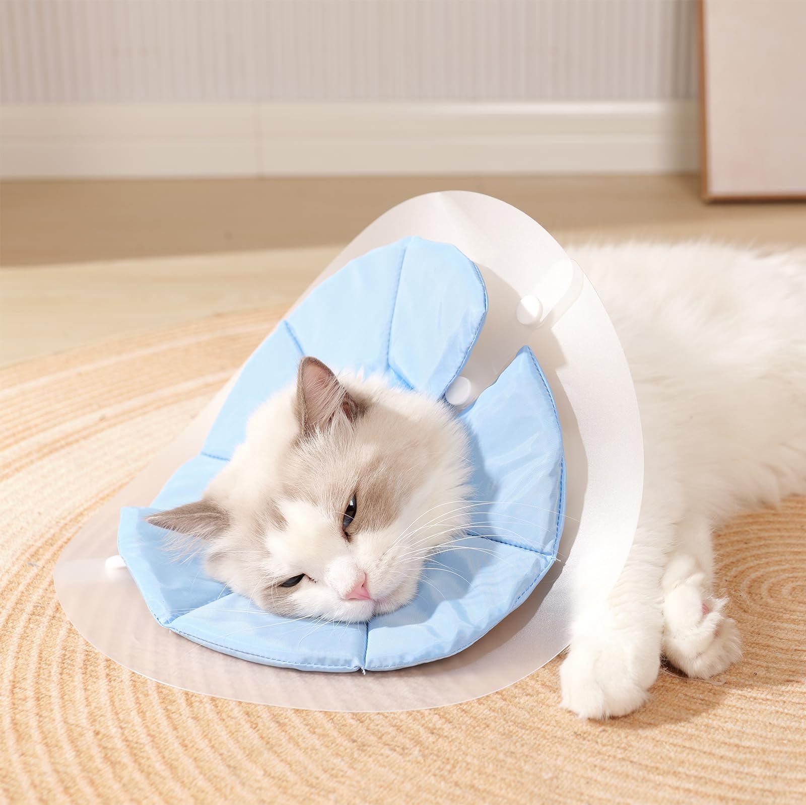 KUDES Dual Layer Cat Cone, Dual-Purpose Model Lightweight All-Around Protective Neck After Surgery E Collar to Wound (Blue M (7.8inch- 13.3inch))