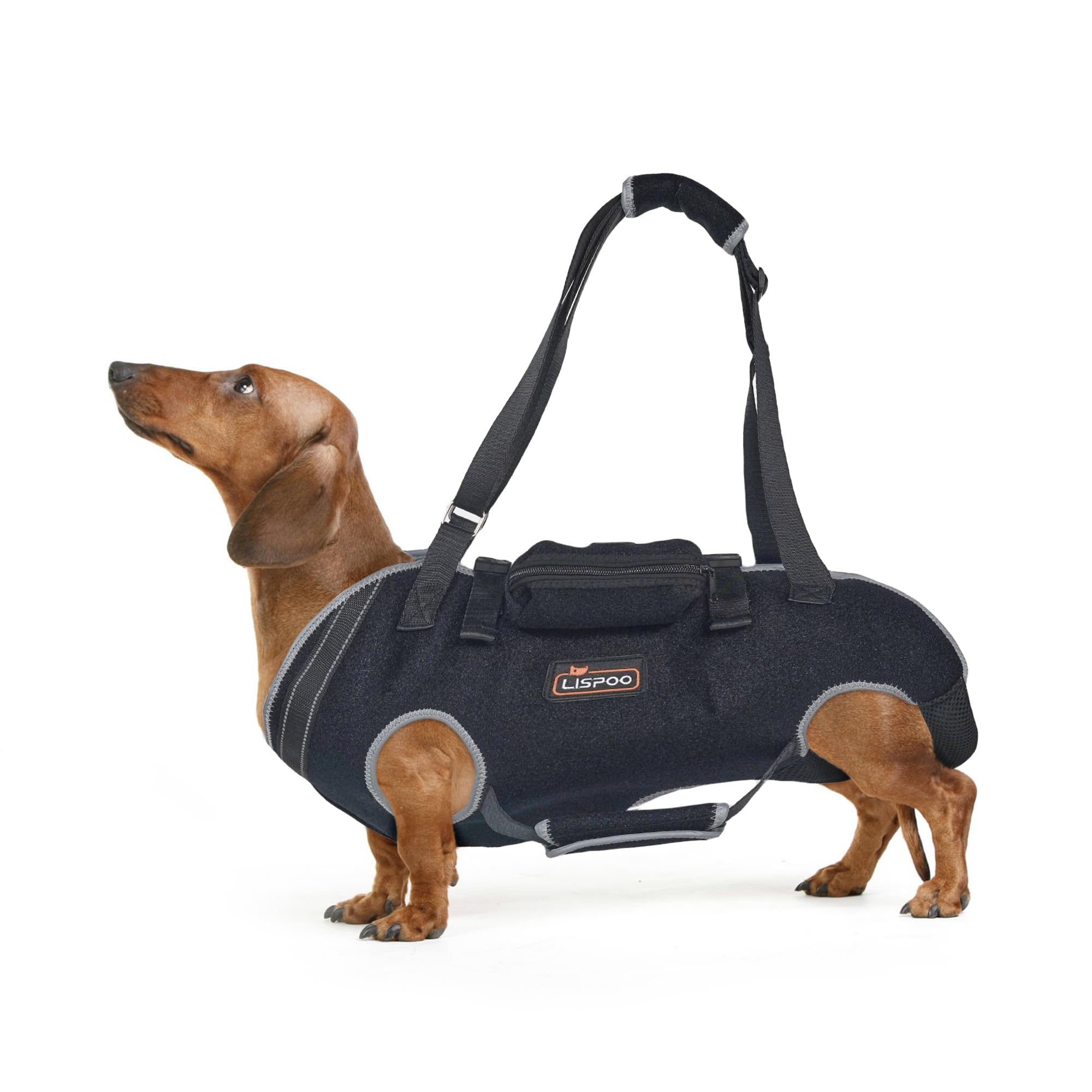 TIPOOP Easy to Wear Support for Dogs - Spinal Stability and Pain Relief