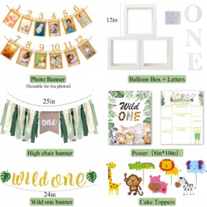 Daidle Wild One Birthday Decorations, 1st Birthday Decorations for Boy or Girl, First Birthday Decorations, 1st Birthday Photo Banner, Balloon Box, Jungle Theme Safari Birthday Decorations Boys Girls