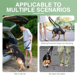 TIPOOP Easy to Wear Support for Dogs - Spinal Stability and Pain Relief