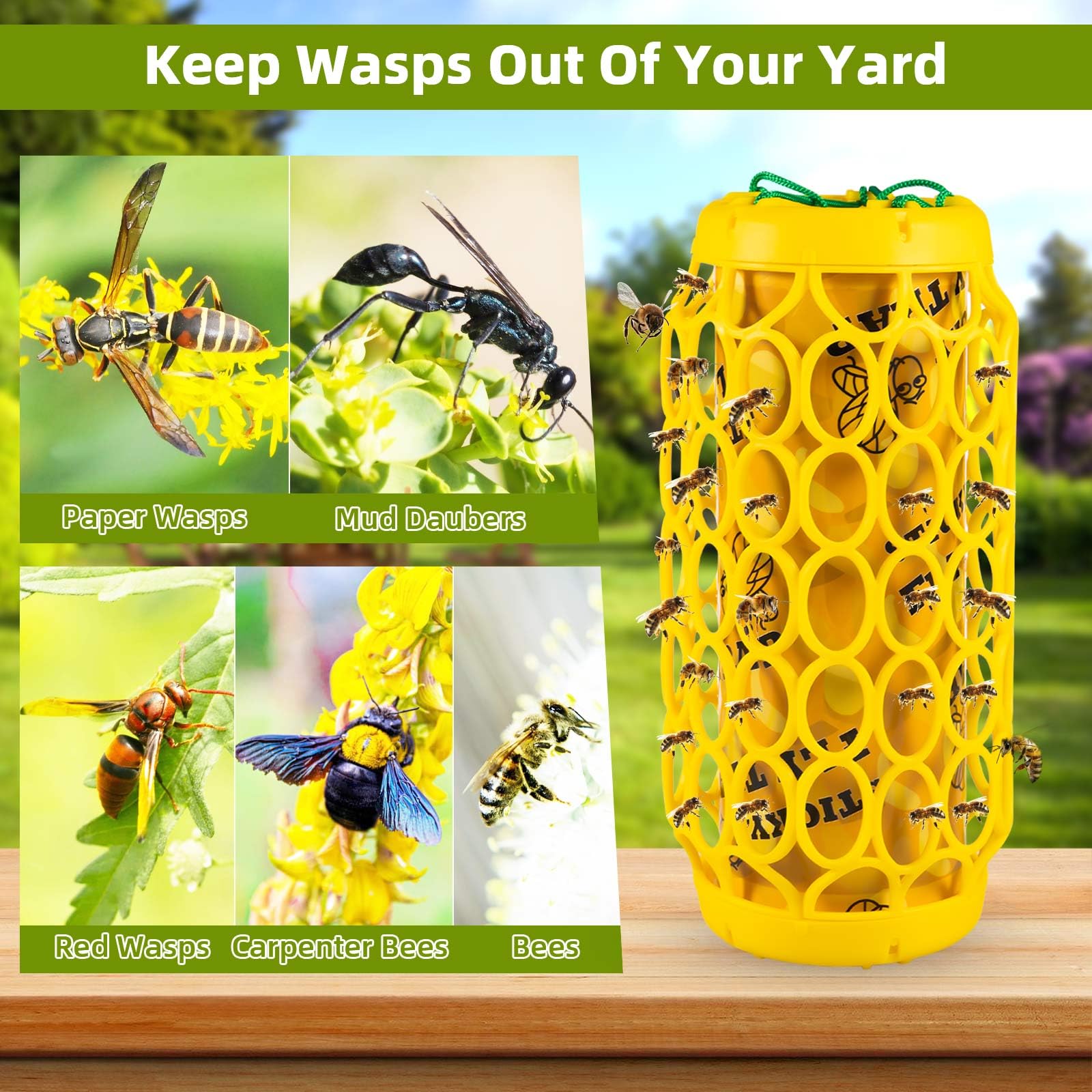 Sticky Fly Traps Outdoor Hanging,Fruit Fly Traps for Indoors,Wasp Trap Bee Traps Catcher,Yellow Jacket Trap,Flying Insect Trap,2 Pack Wasp Deterrent Killer Fly Insect Catcher with 4 Sticky Boards