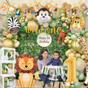 Daidle Wild One Birthday Decorations, 1st Birthday Decorations for Boy or Girl, First Birthday Decorations, 1st Birthday Photo Banner, Balloon Box, Jungle Theme Safari Birthday Decorations Boys Girls