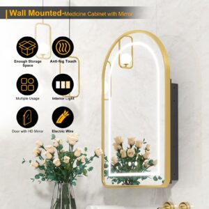 Mepplzian Lighted Arched Medicine Cabinet,Gold Medicine Cabinet Mirror,Recessed Medicine Cabinet with Mirror,Led Medicine Cabinet Mirror for Bathroom,Medicine Cabinet with Lights,Wall Mounted,20x31''