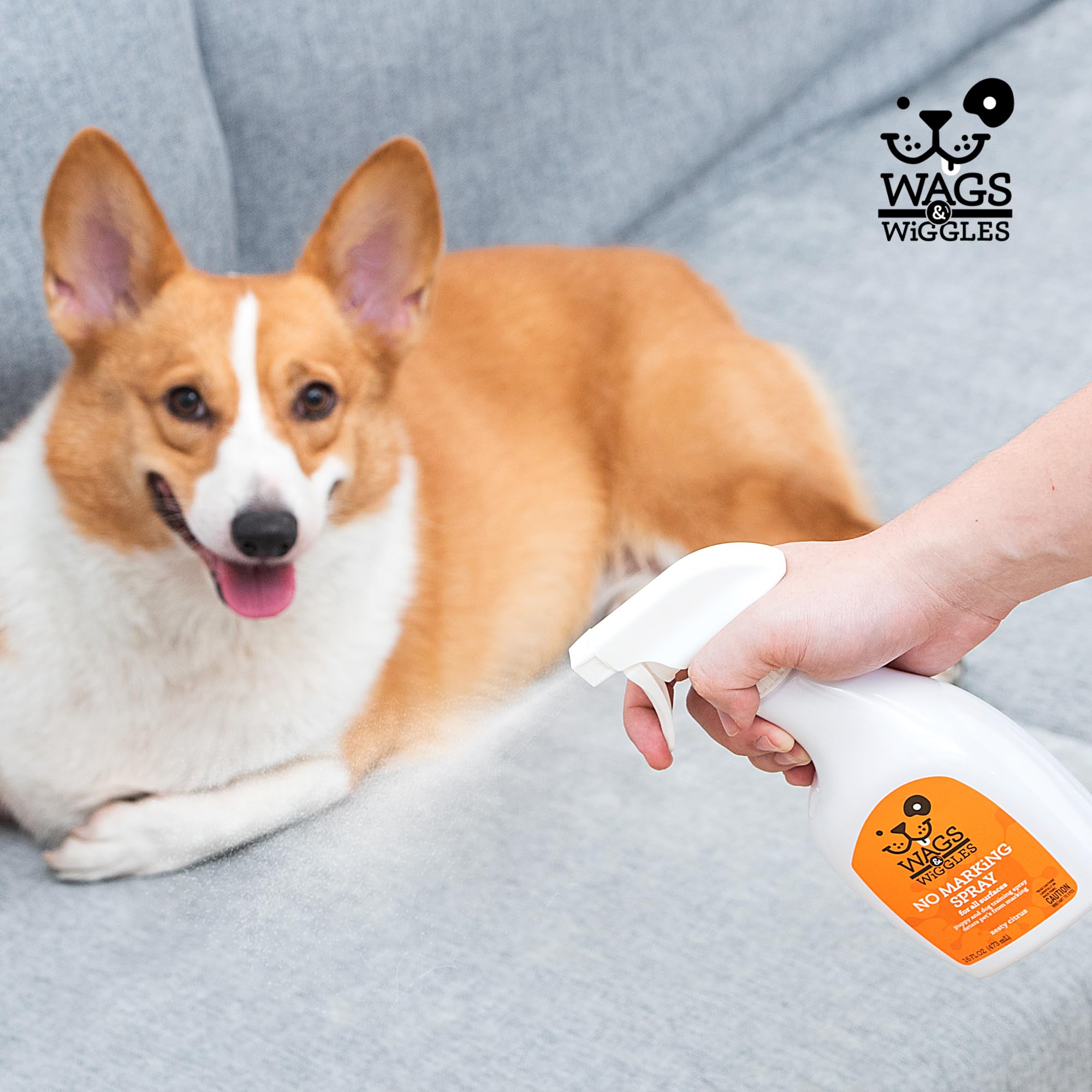 Wags & Wiggles No Marking Deterrent Training Spray for Dogs - Indoor Dog Pee Repellent & Behavior Aid, Anti Pee & Urine Deterrent, No More Marking, Ideal for Potty Training