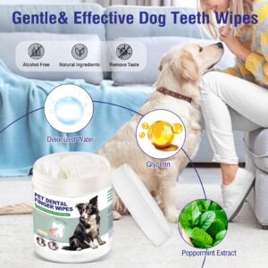 Havenfly Pet Teeth Cleaning Finger Wipes for Dogs & Cats, Dog Dental Wipes for Removing Plaque and Tartar Buildup, No-Rinse Disposable Gentle Cleaning & Gum Care Pet Wipes, 50 Counts