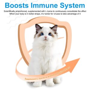 L-Lysine Powder for Cats, 120g Lysine Powder Supports Cats Immune System, Respiratory Health & Visual Function – Lysine Powder Improve Cats Eye Discharge, Pets Health Supplies, Salmon Flavor - 4.23oz