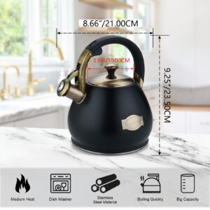 Tea Kettle Stovetop Whistling Kettle Teapot, 3Quart Tea Pot Stainless Steel Teakettle for Stove Top with Heat Proof Ergonomic Handle