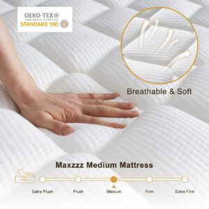 Maxzzz Queen Mattresses, 14 Inch Euro Top Hybrid Mattress, Luxury Mattress for Back Pain, Heavier Coils Innerspring for Motion Isolation & Balance Support, Mattress-in-a-Box