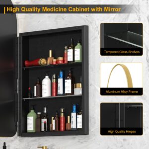 Arched Medicine Cabinet, Recessed Medicine Cabinet with Mirror,Oil Rubbed Gold Bathroom Medicine Cabinet Mirror,Metal Framed Arch Medicine Cabinet Surface Mount,20x31Inch