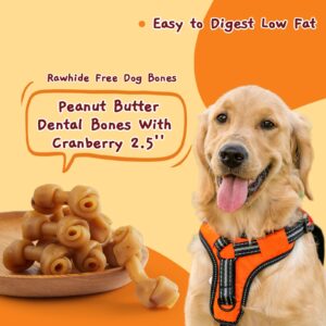 Jungle Calling Peanut Butter Dog Treats, Dental Chews for Dogs, Rawhide Free Dog Bones 2.5'' for Small Dogs