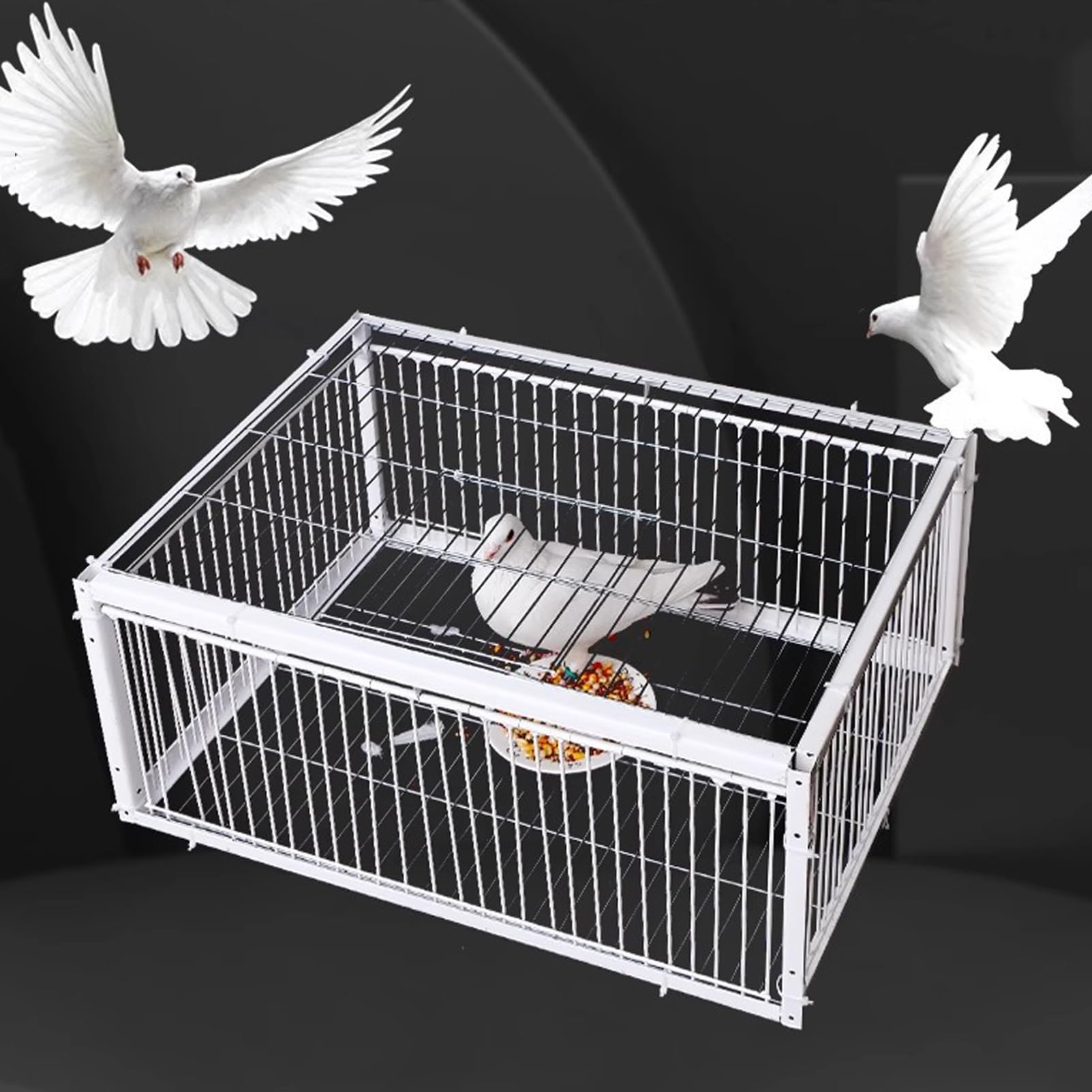 TRAGLO Chicken and Bird Trap Cage, Humane Live Animal Trap Cage with One-Way Entry Door, Metal Control Pigeon Trap with Escape-Proof Design 2CM Encryption Spacing, Easy Assembly (Size : 100x60x26cm)