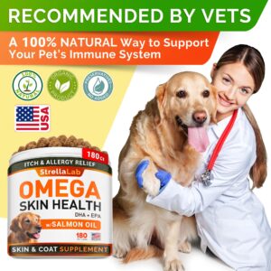 Allergy Relief + Omega 3 Dogs Bundle - Itchy Skin Treatment + Allergy & Itch Relief - Omega 3 & Pumpkin - Dogs Itching & Licking Treats + Skin & Coat Supplement - 420 Chews - Made in USA