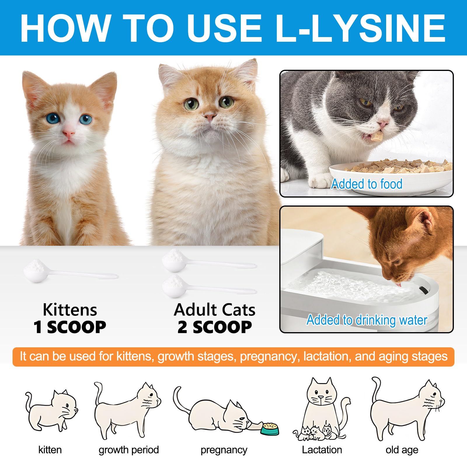 L-Lysine Powder for Cats, 120g Lysine Powder Supports Cats Immune System, Respiratory Health & Visual Function – Lysine Powder Improve Cats Eye Discharge, Pets Health Supplies, Salmon Flavor - 4.23oz