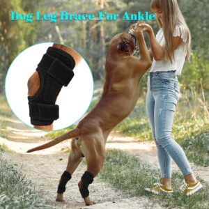 Domagiker Rear Leg Hock Brace, Dog Knee Brace with Metal Strips, Hock & Ankle Support Back Leg for Canine Torn, Dog Leg Sleeve for ACL & CCL Injury and Sprain Protection (Black, Medium(one Pair))