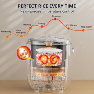 POKAPOKA Mini Rice Cooker 2 Cup Uncooked, Small Travel Rice Cooker with Portable Handle, 24-H Timer Delay, LED Display, 1.2L Non-stick Inner Pot, Aqua