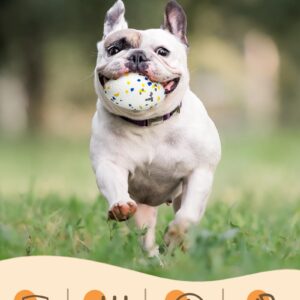 Moonorange Upgrade Bone Dog Balls Tough Dog Toys for Aggressive Chewers, Indestructible Chew Bone Toy Tennis Balls for Large Breed (White)