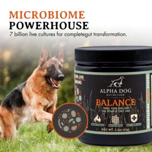 Balance Probiotic Blend for Dogs by Alpha Dog Nutrition