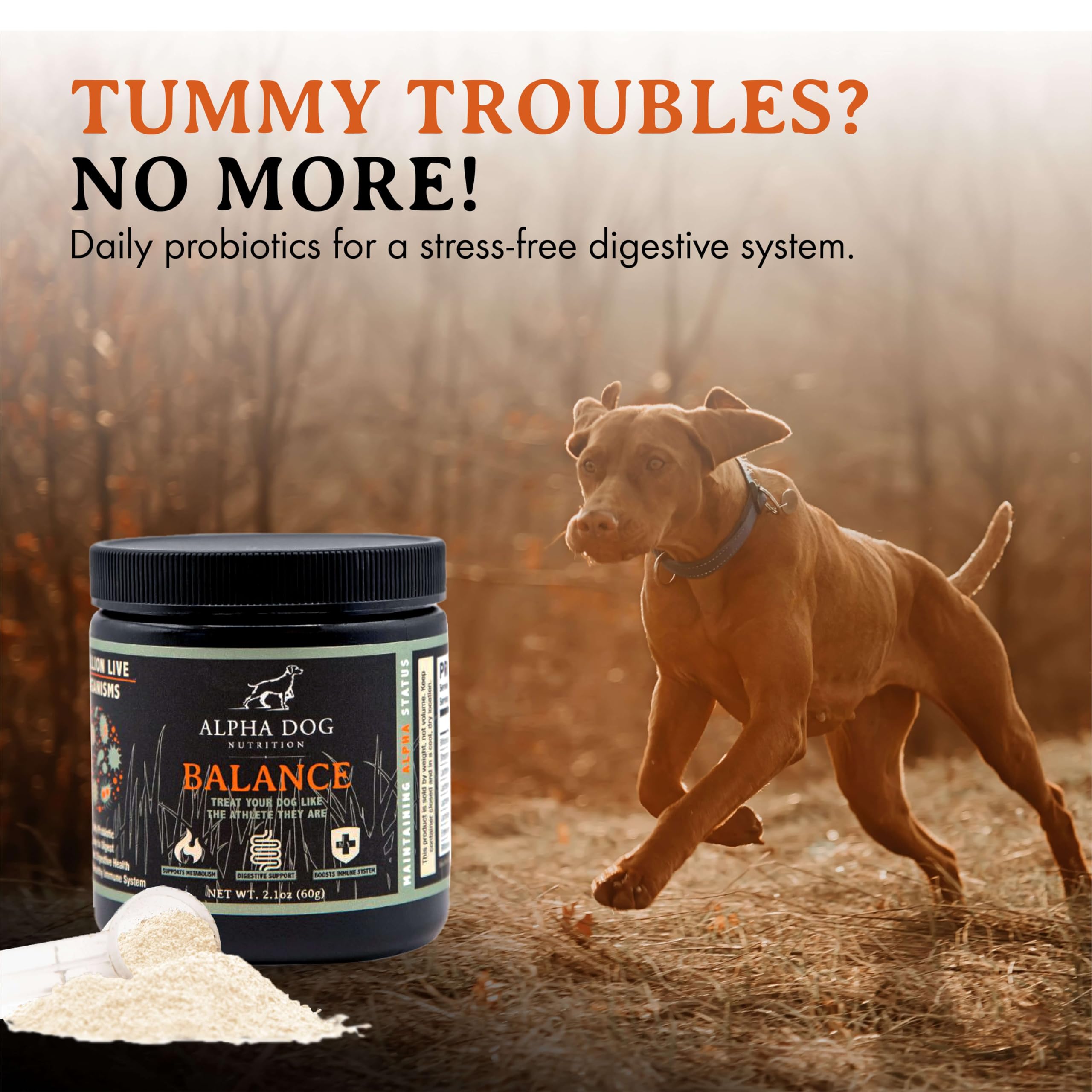 Balance Probiotic Blend for Dogs by Alpha Dog Nutrition