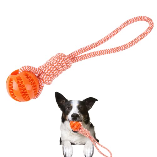 Generic Puppy Toys Interactive Dog and cat Toys Balls for Small Medium Dogs Chew Teething Teeth Cleaning Treat Dispensing (1pack) Durable Rubber Ball Dog Rope Toy for Tug of War Playing (Red)