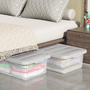 Nihenok 14 L Clear Latch Storage Box, 2 Pack Plastic Storage Bins with Gray Lids