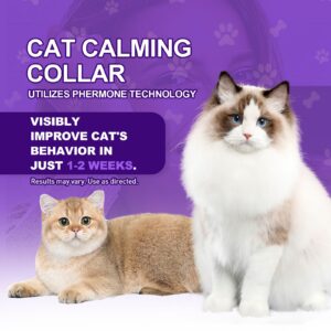 4 Pack Calming Collar for Cats, Cat Collars Efficient Relieve Reduce Anxiety Stress Collar, Cat Calming Collar Kitten Supplies Make Comfortable Relaxed, Lasting 60 Days, Grey