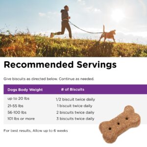 Nutri-Vet Immune & Digestive Health Biscuits for Dogs - Immune Health Dog Biscuits - Prebiotic & Postbiotic Dog Treat - Tasty Digestive Dog Biscuits - 16 oz