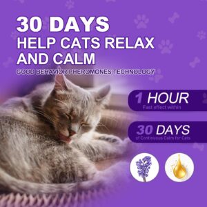 TachengMc Calming Collar for Cats, 4 Pack Cat Calming Collar, Effective Relief Ancxiety Stress Cat Pheromone Collar, Water-Resistant & Adjustable Cat Calming Collar Fits Cats, Purple