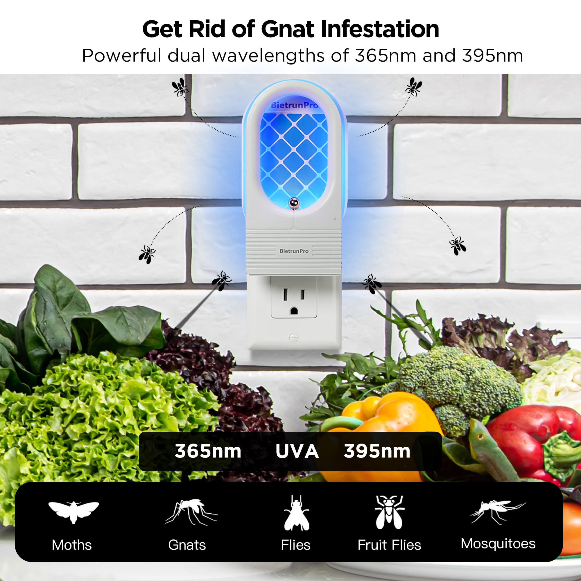 Fruit Fly Traps/Gnat Traps for Indoors, UV＆Blue Light Plug-in Gnats Killer Bug Trap, NAT Killer, Flying Insect Catcher Trap for Fruit Flies, Moths, Mosquitoes, Fungus, Get Rid of Gnat Infestation