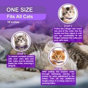 4 Pack Calming Collar for Cats, Cat Collars Efficient Relieve Reduce Anxiety Stress Collar, Cat Calming Collar Kitten Supplies Make Comfortable Relaxed, Lasting 60 Days, Grey