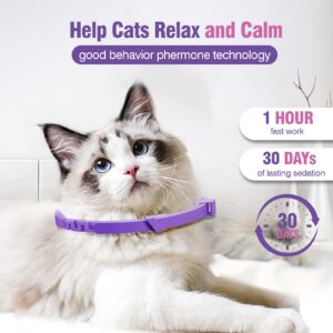 Cat Calming Collar Calming Collar for Cats 3 Pack Calming Cat Collar Relieve Stress and Anxiety Calming Collar Relax Cat Pheromone Collar Suitable for Small Medium and Large Cats Calming Cat Collars