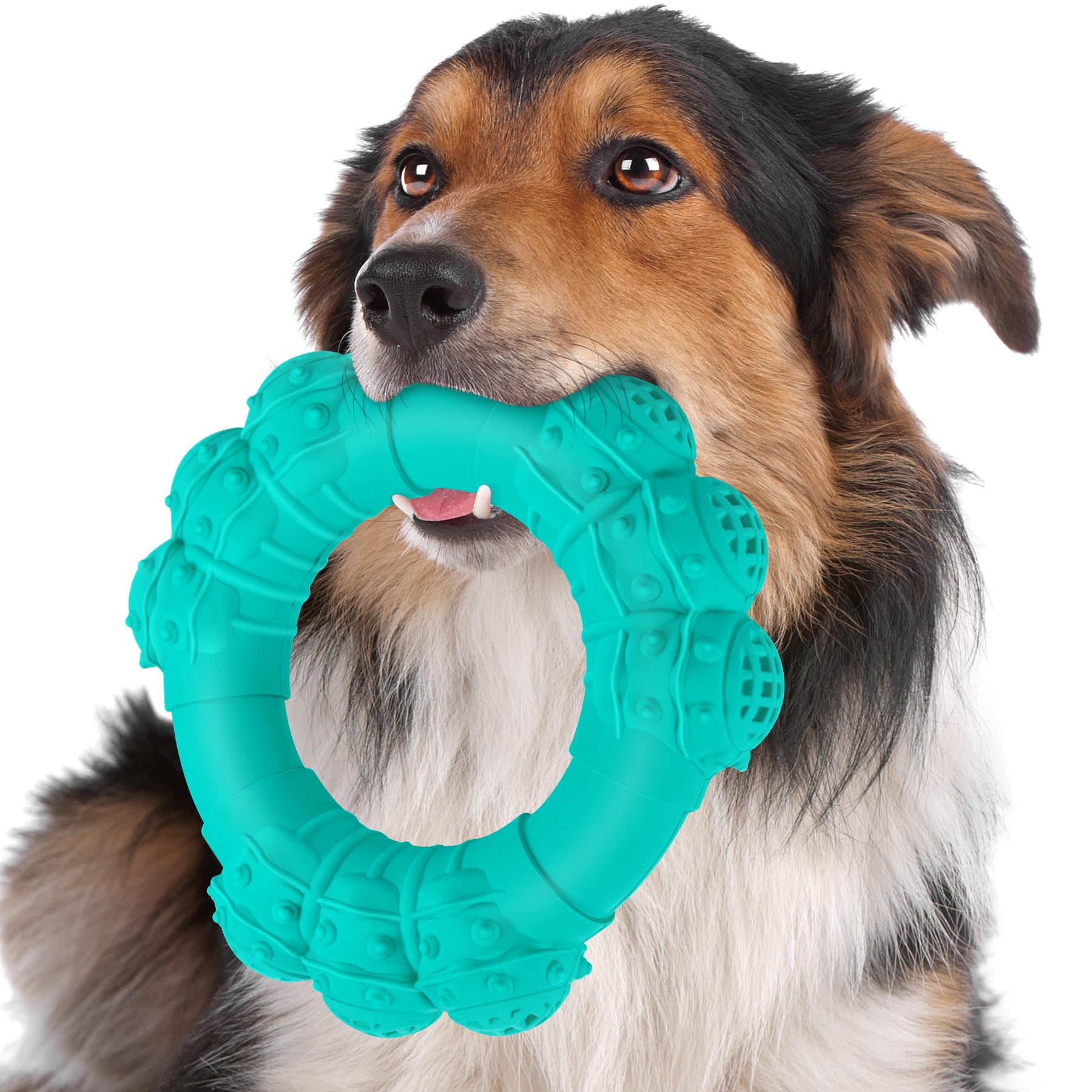 DAOZIJI Indestructible Dog Chew Ring Toys for Aggressive Chewers, Super Chewer Dog Toys for Medium Large Dogs, Puppy Teething Rings for Relax, Interactive Dog Ring Toys, Heavy Duty Dog Teething Toys