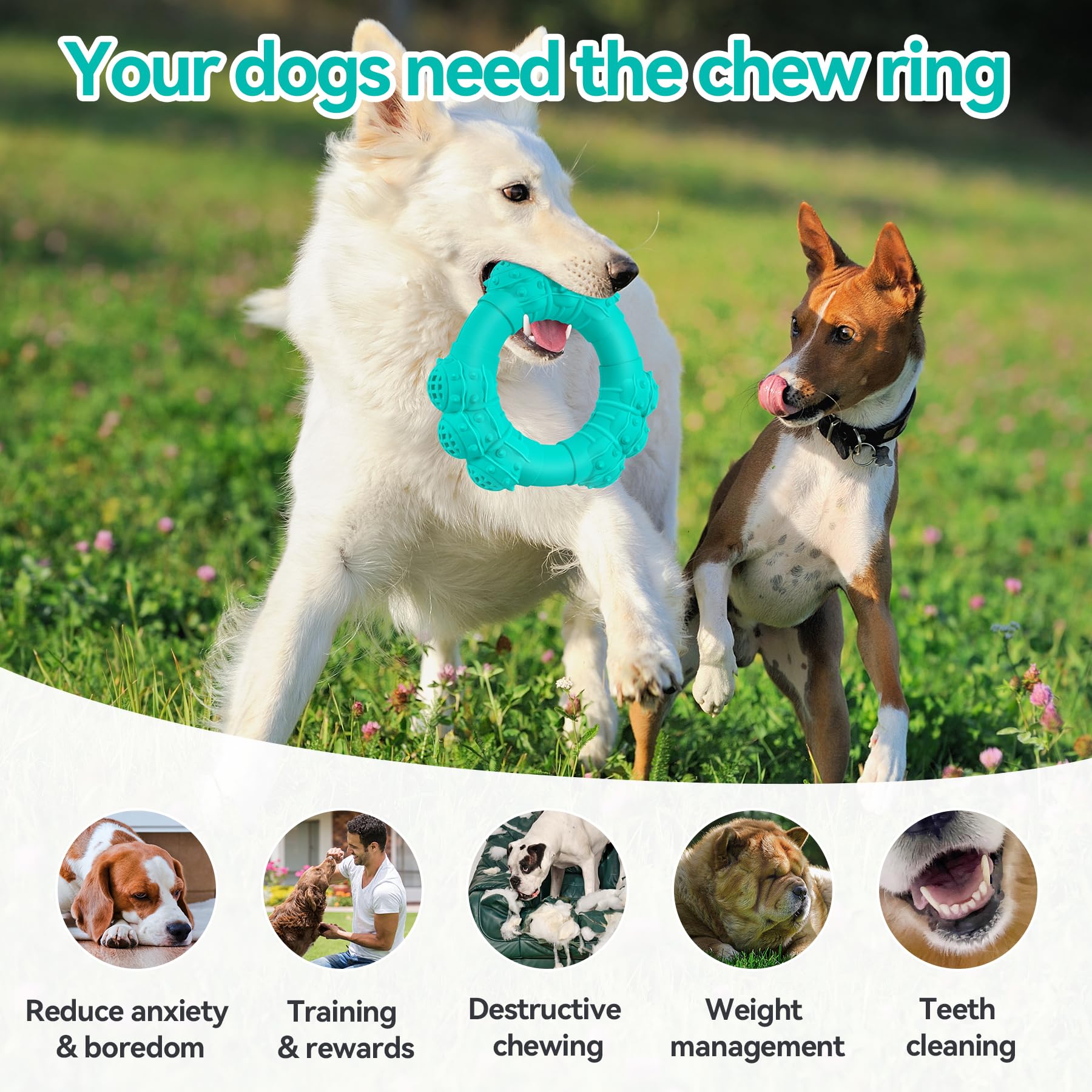 DAOZIJI Indestructible Dog Chew Ring Toys for Aggressive Chewers, Super Chewer Dog Toys for Medium Large Dogs, Puppy Teething Rings for Relax, Interactive Dog Ring Toys, Heavy Duty Dog Teething Toys