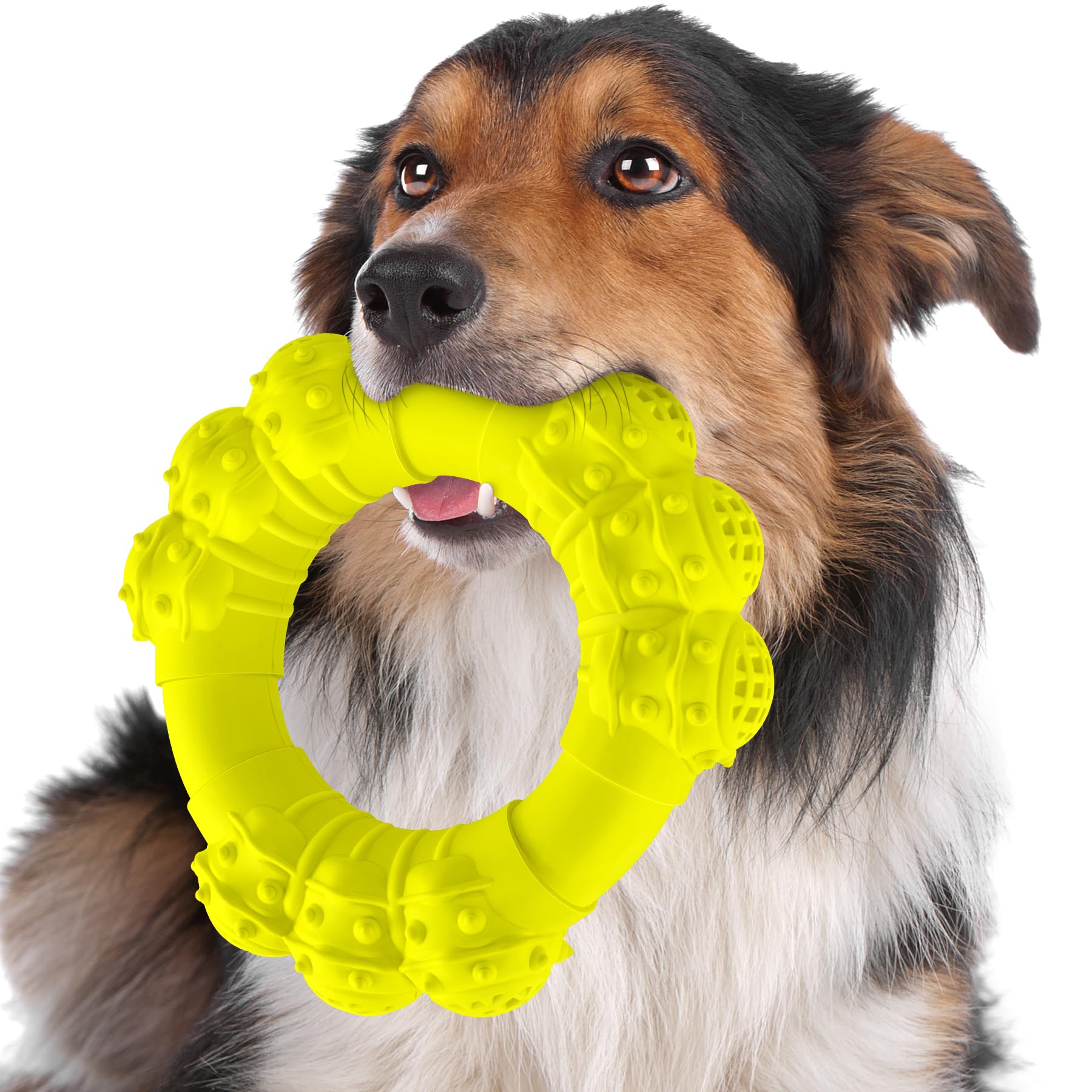 DAOZIJI Indestructible Dog Chew Ring Toys for Aggressive Chewers, Super Chewer Dog Toys for Medium Large Dogs, Puppy Teething Rings for Relax, Interactive Dog Ring Toys, Heavy Duty Dog Teething Toys