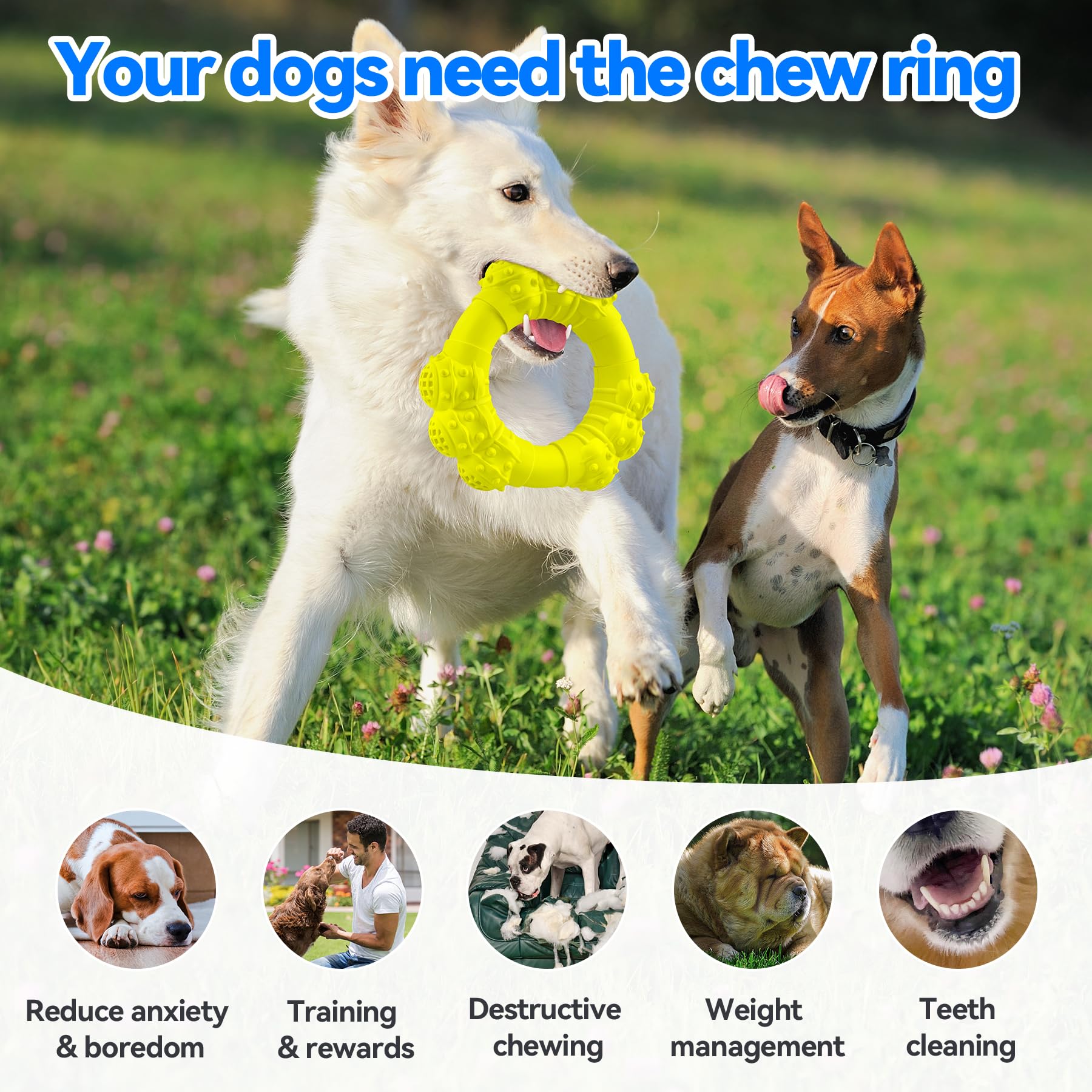 DAOZIJI Indestructible Dog Chew Ring Toys for Aggressive Chewers, Super Chewer Dog Toys for Medium Large Dogs, Puppy Teething Rings for Relax, Interactive Dog Ring Toys, Heavy Duty Dog Teething Toys