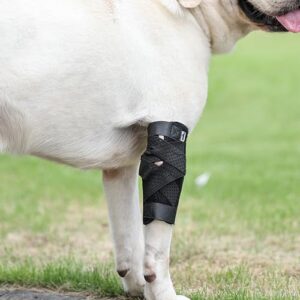 (S/M) Dog Leg Brace for Back Leg, Canine Hock Brace for Rear Legs with Dual Metal Strips, Joint Warps Strong Support Help for Hind Leg Injuries Sprains Arthritis Torn ACL(1Pair)