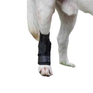 (s/m) dog leg brace for rear hock & ankle, canine hind leg joint compression wrap for torn acl & ccl, back leg injury and sprain protection, helps with elderly dogs activies and arthritis