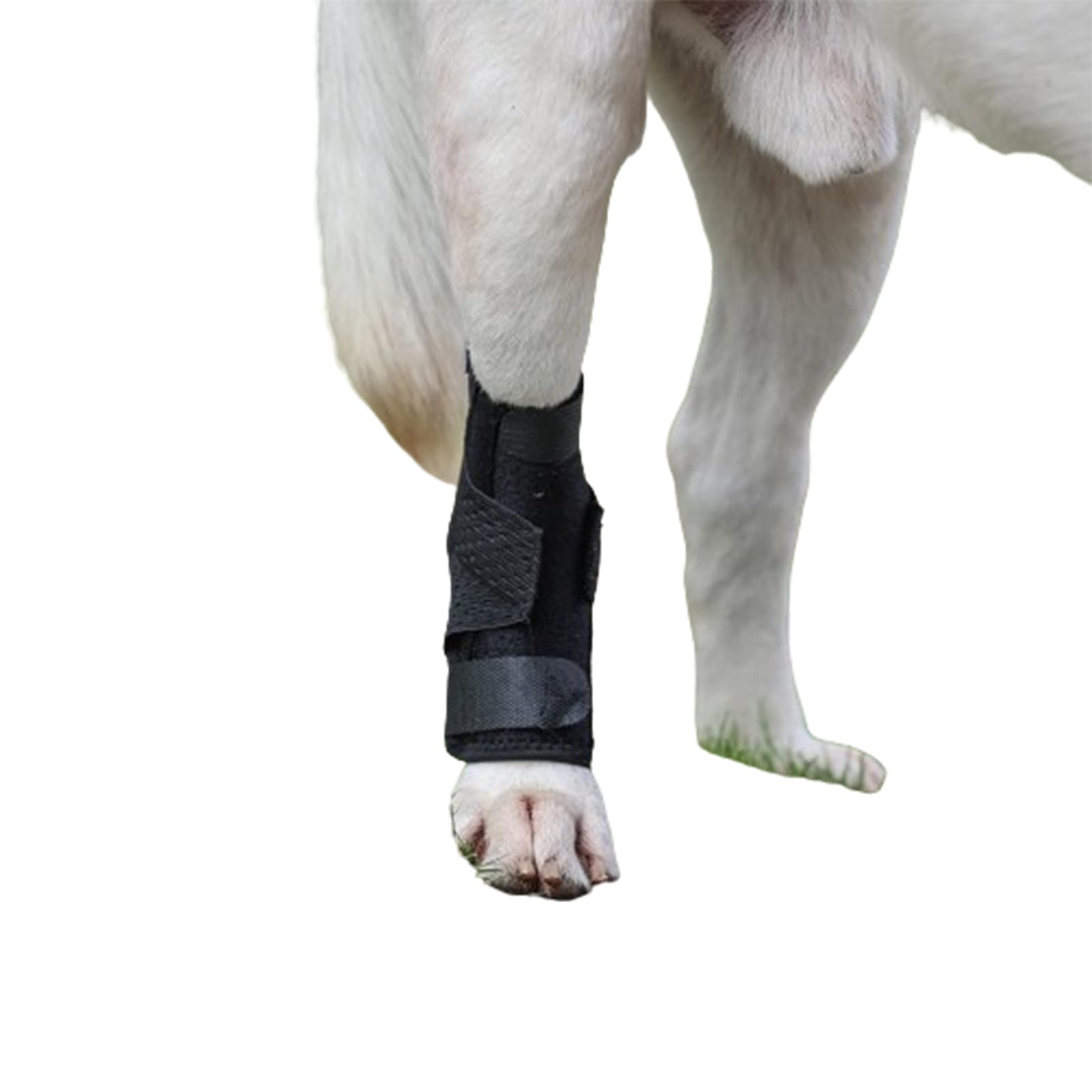 (S/M) Dog Leg Brace for Rear Hock & Ankle, Canine Hind Leg Joint Compression Wrap for Torn ACL & CCL, Back Leg Injury and Sprain Protection, Helps with Elderly Dogs Activies and Arthritis