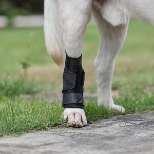 (S/M) Dog Leg Brace for Back Leg, Canine Hock Brace for Rear Legs with Dual Metal Strips, Joint Warps Strong Support Help for Hind Leg Injuries Sprains Arthritis Torn ACL(1Pair)